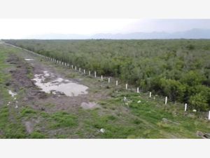 Terreno en Venta en Cadereyta Jimenez Centro Cadereyta Jiménez