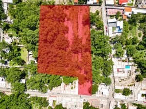 Terreno en Venta en Parras de la Fuente Centro Parras