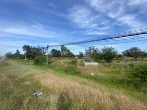 Terreno en Renta en Ampliación los Ángeles Corregidora