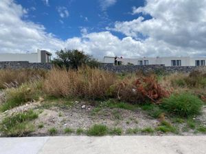 Terreno en Venta en La Espiga Querétaro