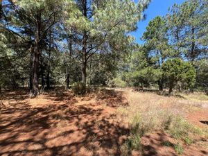 Terreno en Venta en Amealco de Bonfil Centro Amealco de Bonfil