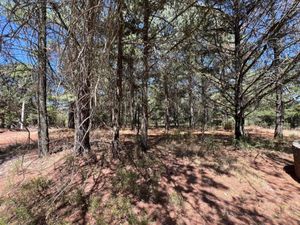 Terreno en Venta en Amealco de Bonfil Centro Amealco de Bonfil