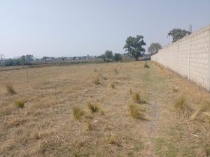 Terreno en Venta en San Miguel Totocuitlapilco Metepec