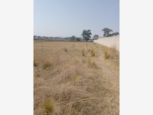 Terreno en Venta en San Miguel Totocuitlapilco Metepec