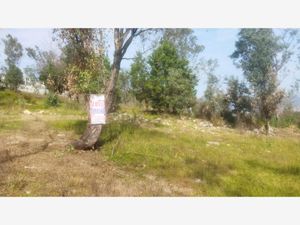 Terreno en Venta en Lomas de La Campiña Morelia