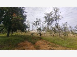 Terreno en Venta en Lomas de La Campiña Morelia