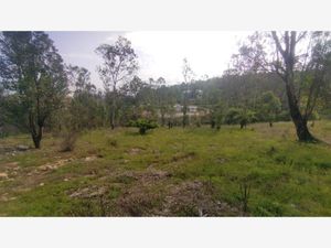 Terreno en Venta en Lomas de La Campiña Morelia