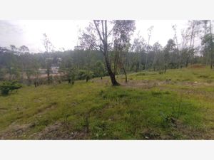 Terreno en Venta en Lomas de La Campiña Morelia