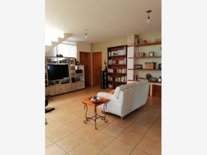 Casa en Venta en Tulipanes de Las Ánimas Xalapa