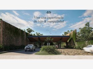 Terreno en Venta en San Ignacio Progreso