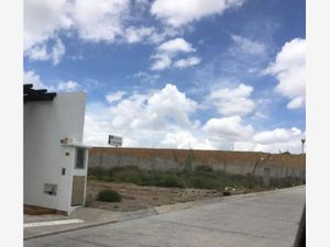 Terreno en Venta en El Portezuelo Mineral de la Reforma