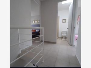 Casa en Venta en Lomas de la Plata Pachuca de Soto