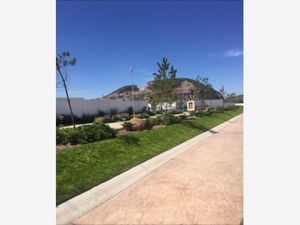 Terreno en Venta en Nueva Tlaxiaca San Agustín Tlaxiaca