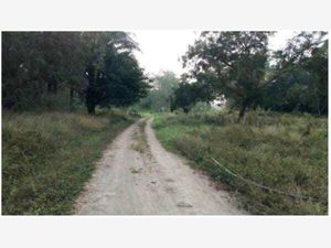 Finca/Rancho en Venta en El Zacatal Jamapa