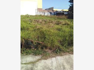 Terreno en Venta en Boca del Rio Centro Boca del Río