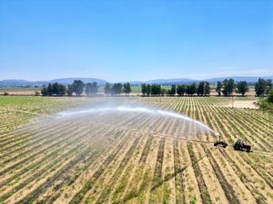 Terreno en Venta en Huaxtla El Arenal