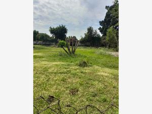 Terreno en Venta en Lucio Moreno Yautepec