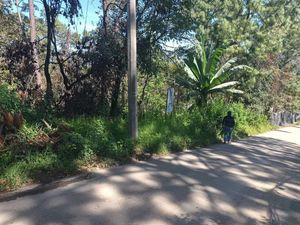 Terreno en Venta en Avandaro Valle de Bravo