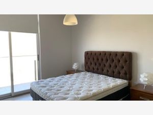 Departamento en Renta en Más Palomas (Valle de Santiago) Monterrey