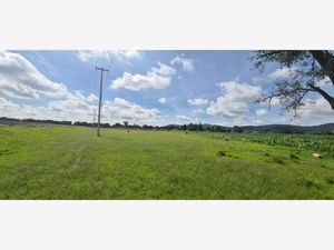 Terreno en Venta en Parque Industrial Chachapa Amozoc