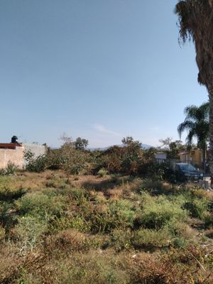 EXCELENTE TERRENO EN EL MUNICIPIO DE CHAPALA, JALISCO  (V)