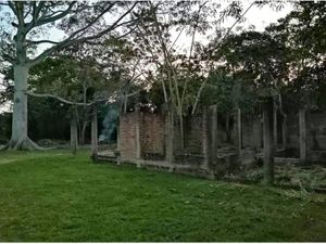 Terreno en Venta en Adolfo López Mateos Comalcalco