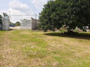 Terreno en Renta en Chichicapa Comalcalco