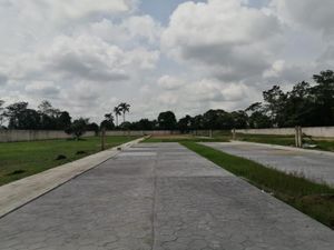 Terreno en Venta en Chichicapa Comalcalco