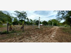 Terreno en Venta en Betania Comalcalco