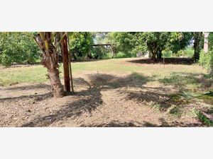 Terreno en Venta en Gobernadores Comalcalco