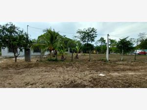 Terreno en Venta en Betania Comalcalco