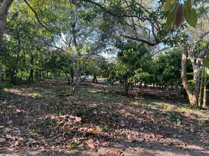 Terreno en Venta en Oriente 2a Sección (Palma Hueca) Paraíso