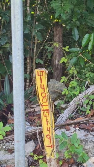 Oportunidad Terreno Unifamiliar en Ruta de los Cenotes