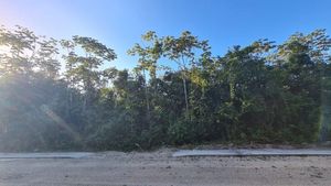 Oportunidad Terreno Unifamiliar en Ruta de los Cenotes