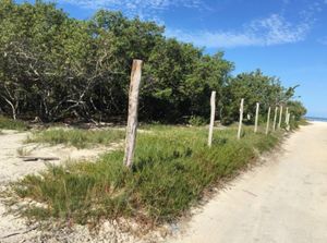 610m2 en Holbox cerca del mar