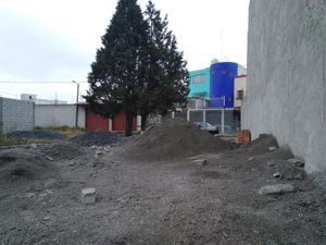 Terreno en Venta en Benito Juarez Apizaquito Apizaco