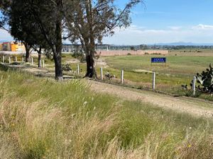 Terreno en Venta en El Gavillero de la Trinidad (La Curva) Polotitlán