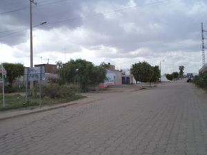 Terreno en Venta en La Cruz Silao de la Victoria