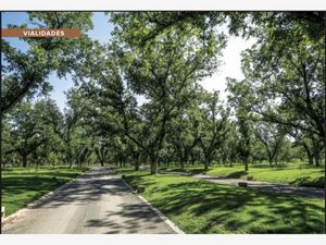 Terreno en Venta en Valle de Parras Parras