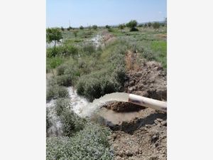 Terreno en Venta en San Francisco del Progreso Parras