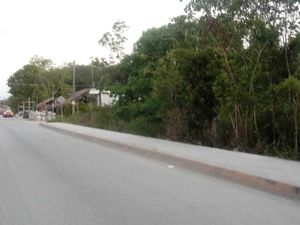 Terreno en Venta en Macario Gómez Tulum