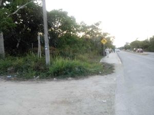 Terreno en Venta en Macario Gómez Tulum