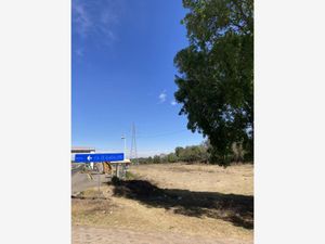 Terreno en Venta en Venta de Guadalupe Omitlán de Juárez