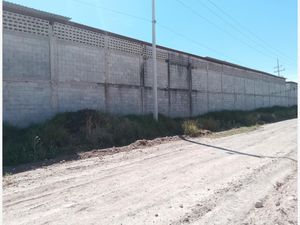 Terreno en Renta en San Agustín Torreón