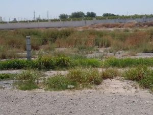 Terreno en Venta en Parque Industrial Santa Rita Gómez Palacio