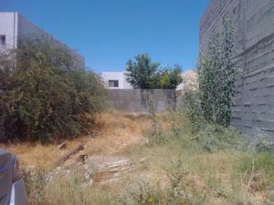 Terreno en Venta en Residencial Senderos Torreón