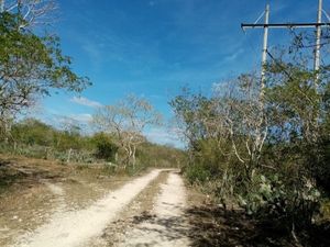 Terreno en venta en la mejor zona ganadera del Estado de Yucatán