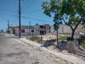 Terreno en Renta en Progreso, Yucatán