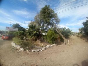 Terreno en Venta en Santa Cruz Tehuixpango Atlixco