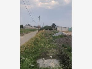 Terreno en Venta en San Juan Tuxco San Martín Texmelucan